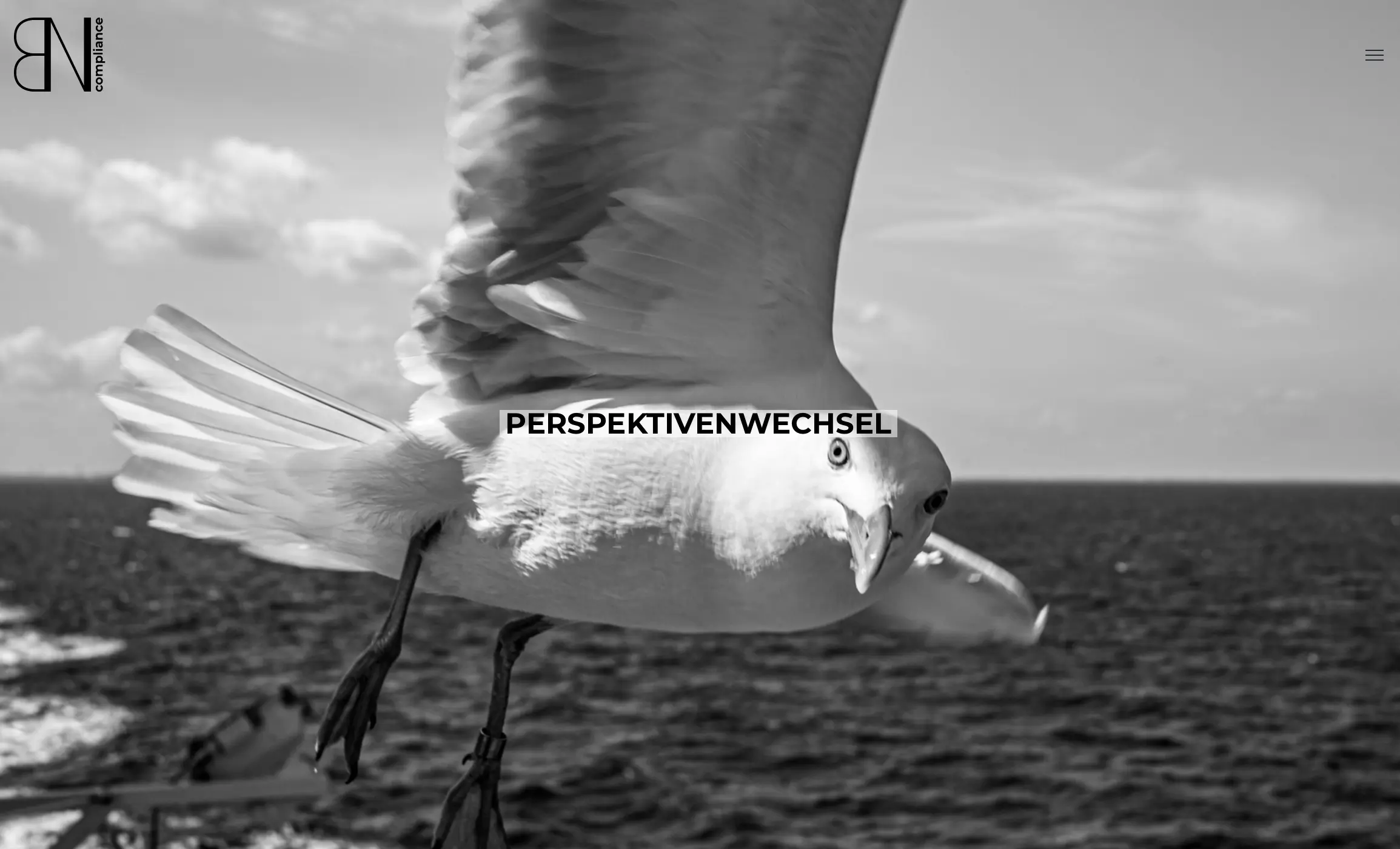 Möwe im Flug über Meer mit "PERSPEKTIVENWECHSEL", Logo "BN compliance" links oben.