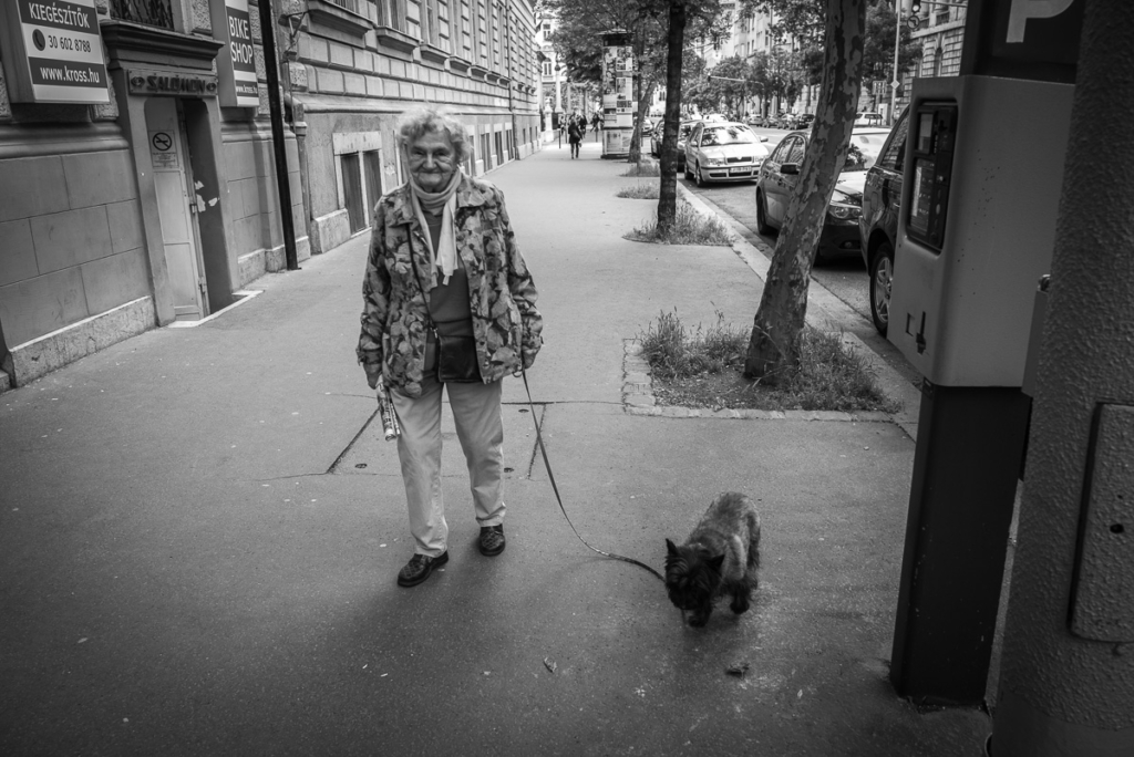 Ältere Person führt Hund an der Leine städtische Straße entlang, Schwarz-Weiß-Fotografie.