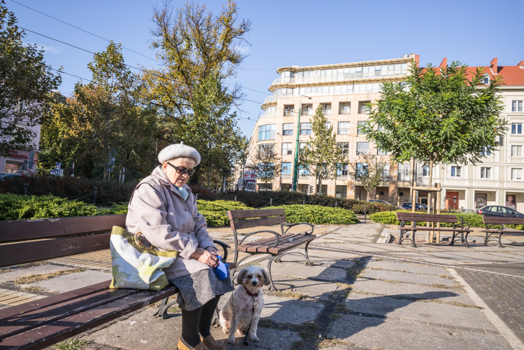 Ältere Person mit kleinem Hund auf Parkbank in städtischer Umgebung bei blauem Himmel.