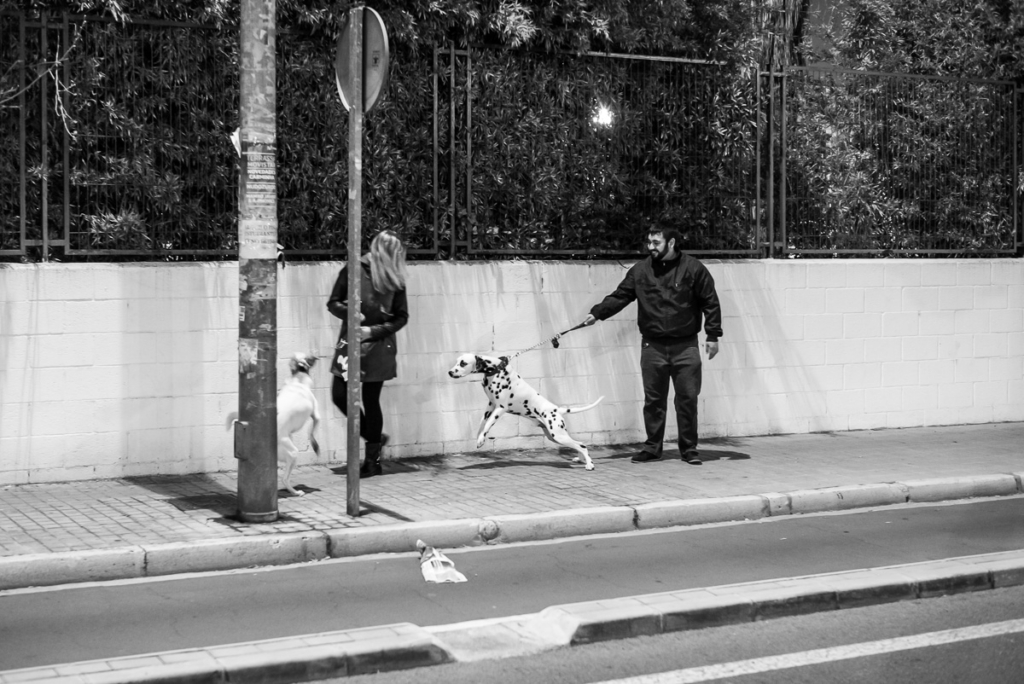 Zwei Personen mit Hunden an Leinen auf Gehweg vor Mauer, Hintergrund Bewuchs.